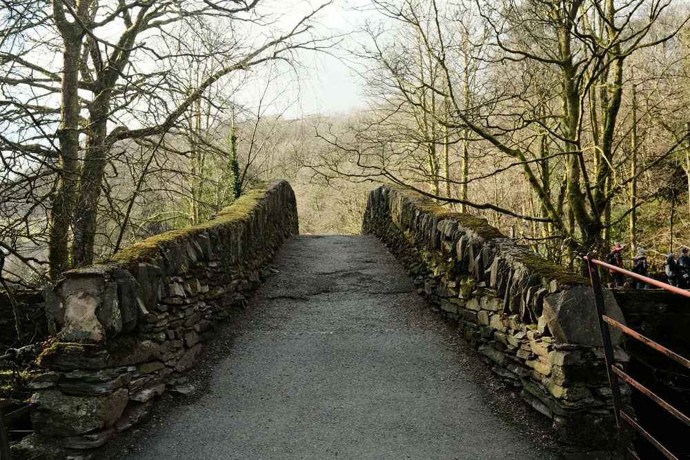 A narrow stone bridge with moss-covered parapets among bare trees